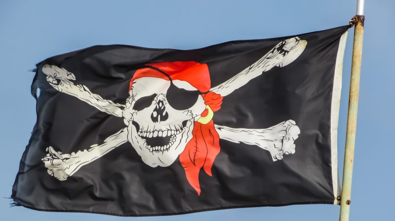 black color, red, waving, human skeleton, black, patriotism, environment, pirate, bones, people, celebration, bone, traditional clothing, skull, day, skeleton