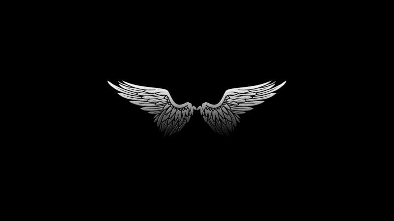 studio shot, art and craft, wings, minimalism, nature, black background, bird, digital art, animal, animal wildlife, feathers, indoors, copy space, butterfly - insect