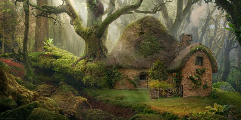 hobbit, fantasy art, trunk, tranquility, the past, beauty in nature, tree trunk, solid, history, nature, 1080P, growth, outdoors, rock - object, green color