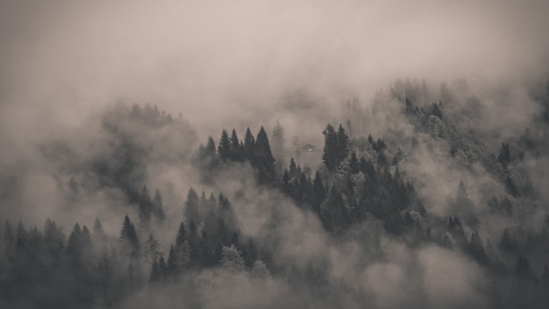 mist, hill, sky, alone, smog, no people, pine Tree, fir Tree, blue, tree, mountain Peak, cloudscape, trees, environment, clouds, mountain, tall, tress