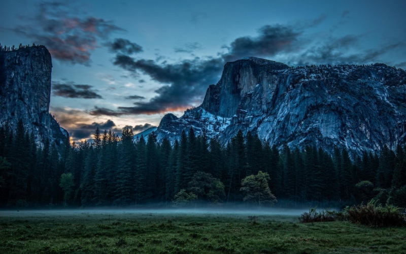tranquil scene, forest, tree, idyllic, mountains, sunset, coniferous tree, pine tree, pine woodland, nature, mist, mountain range, beauty in nature, cloud - sky