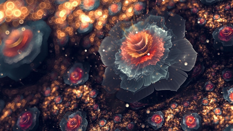 bokeh, animal, petaled, sea, pattern, digital art, animal themes, flowers, backgrounds, no people, 1080P, blue, red, swimming, undersea, light - Natural Phenomenon