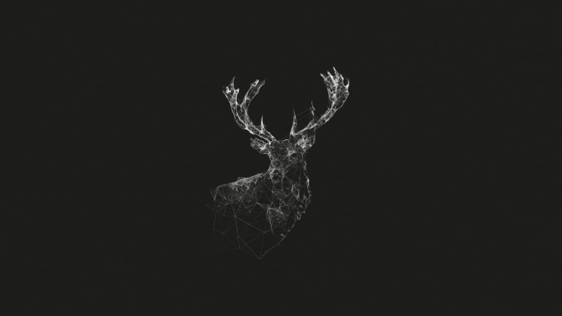 1080P, animal themes, animal representation, copy space, animal head, digital art, Simple, lines, representation, artwork, animal, close-up, one animal