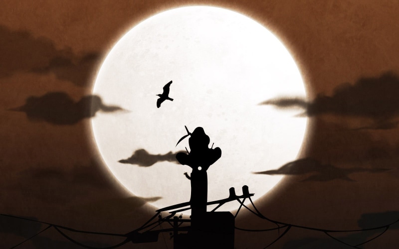 nature, built structure, bird, anime, Uchiha Itachi, Moon, geometric shape, power lines, group of animals, Naruto Shippuuden, sunlight, animal, no people