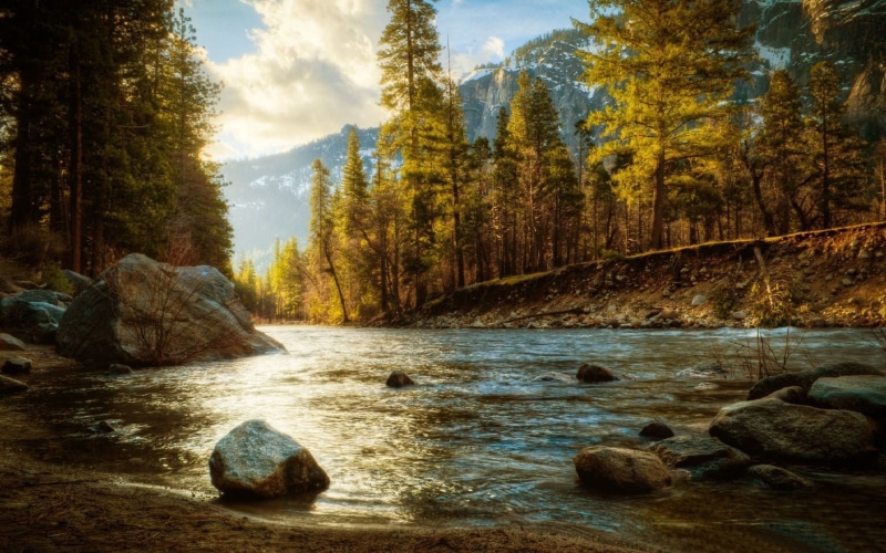 vibrant Color, tranquility, solid, mountain Range, forest, rock, non-Urban Scene, beauty In Nature, mountains, park - Man Made Space, outdoors, sunlight