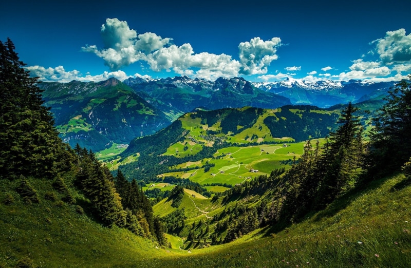 field, green color, environment, tranquility, snowcapped mountain, Landscape, Nature, mountain range, outdoors, tranquil scene, no people, Green, tree