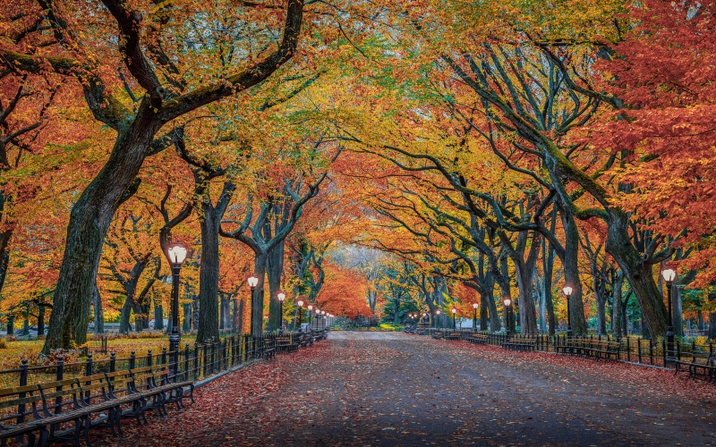 laptop, autumn, ultra, city, desktop, k, nature, colors, tablet, york, park, herbst, mobile, phones, usa, 4K, new, hd, tv