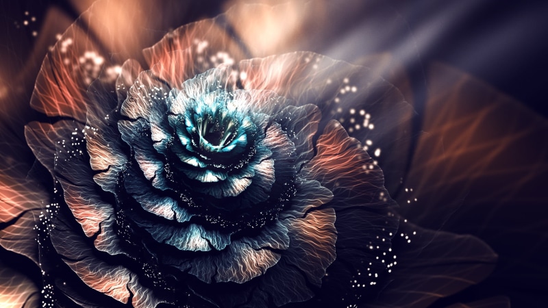  digital art, feather, full frame, no people, backgrounds, softness, fractal, day, abstract, d, blue, nature, vulnerability, close-up, selective focus