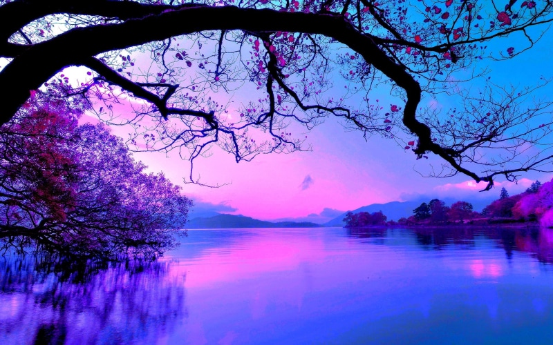 1920x1200, abstract, 1080P, Beautiful, wide, nature