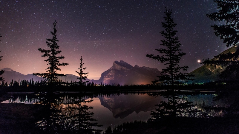 green, leafed, night lights, star, 4K, starry night, lake, scenery, reflection, reflected, calm, starry, night, night sky, landscape, tree