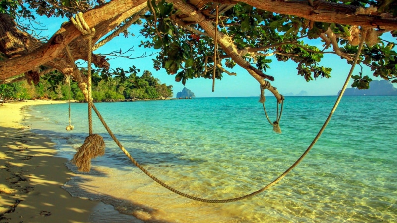 tourism, river, resort, trunk, horizon over water, cloud, rope, reflection, ocean, beauty in nature, coconut palm tree, sunlight, turquoise colored, sunny