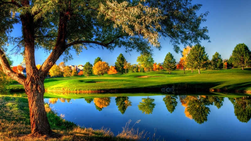autumn, landscape, river, pond, 2K, scenics, leafed, water, house, green, plant, trees, travel, no People, outdoors, forest, lawn, panoramic, growth, colorful