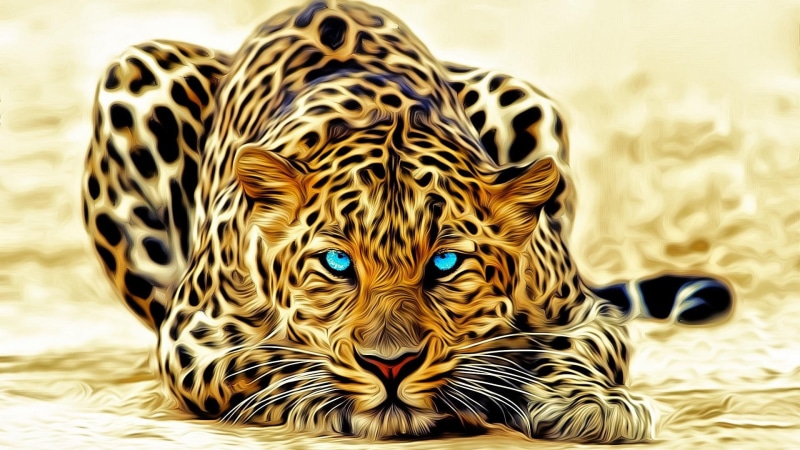 animals, wild, eyes, art, graphic, artistic, 1080P, blue eyes, design, wild animal
