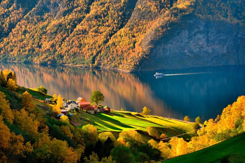 beauty In Nature, lake, woodland, scenics, environment, green, green Color, reflection, travel, field, water, shadow, europe, multi Colored, land, scenics - nature