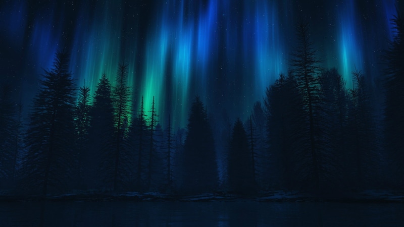 modern, texture, pine tree, shape, sky, coniferous tree, luminosity, glow, forest, abstraction, scenics - nature, graphic, beauty in nature, technology