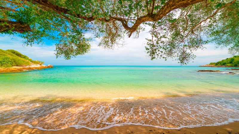 water, idyllic, coast, sandy beach, tropics, tropical landscape, beach, 4K, turquoise colored, tropical, seascape, no people, horizon, plant, horizon over water