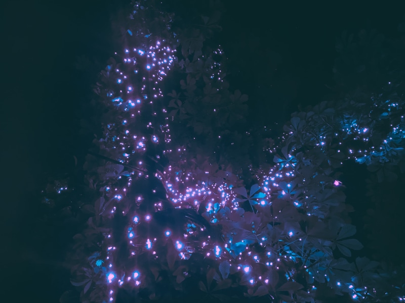 zagreb, outrun, celebration event, christmas tree, no people, vaporwaveaesthetics, vaporart, vaporwave, christmas, event, retrofuture, cyberpunk, 4K, marine