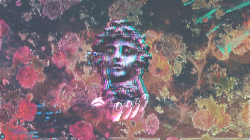Caesar, one person, Retro style, sea life, 1080P, animals in the wild, animal themes, marine, underwater, pink color, sea, animal, animal wildlife, nature