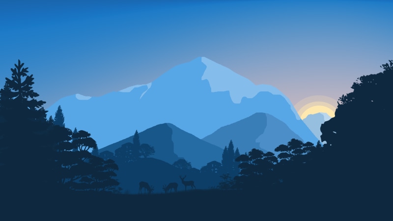 8K, Sunset, Minimal, 8K, 4K, Forest