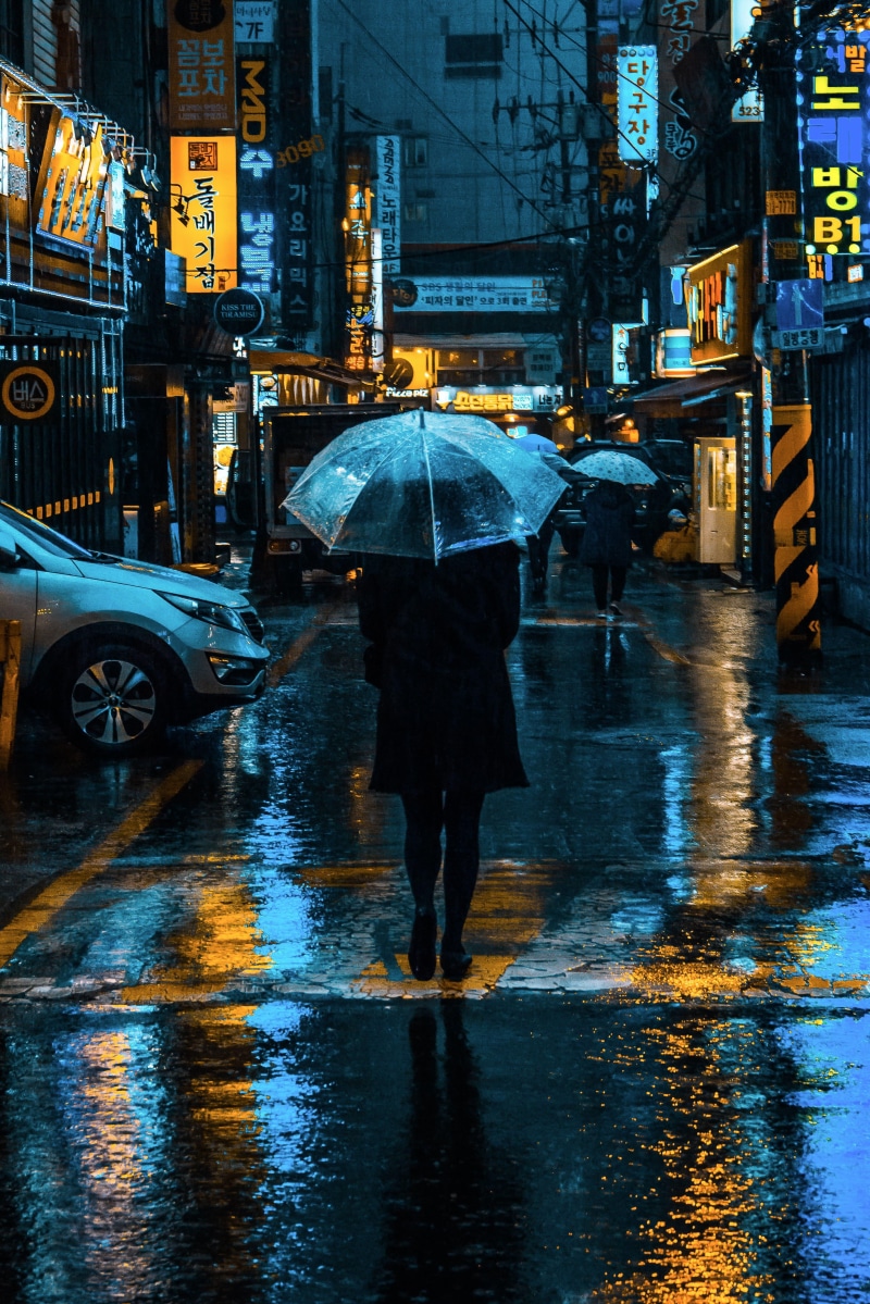 city street, city, umbrella, middle, sign, illuminated, rainy season, seoul, built structure, reflection, architecture, transportation, yellow, neon, wet