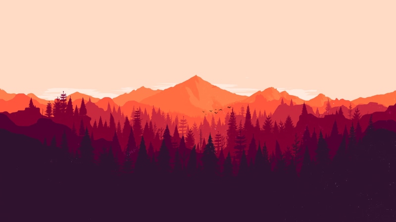 scenics - nature, minimalism, backgrounds, pine trees, sunrise - Dawn, tranquil scene, environment, outdoors, land, summer, sky, fog, clear sky, pine Tree