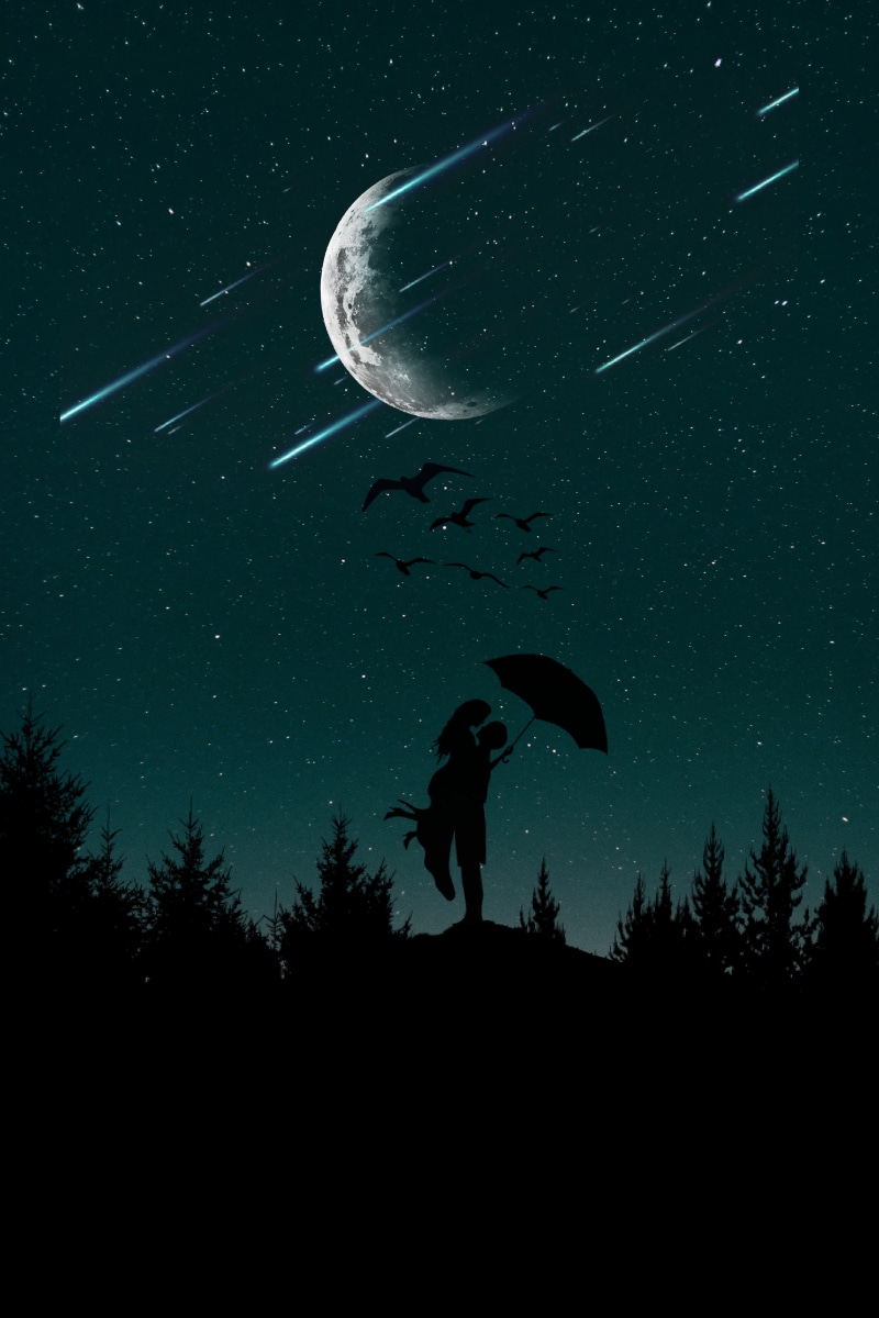 couple, backgrounds, nature, silhouettes, star, dusk, beauty in nature, star field, space and astronomy, horror, trees, silhouette, night, 5K, tree, umbrella