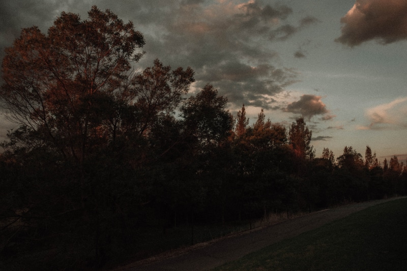 outdoors, silhouette, 5K, transportation, tranquility, road, nature, cloud - sky, sunset, tumblr, growth, grunge, dusk, tree, retro, land, landscape, no people