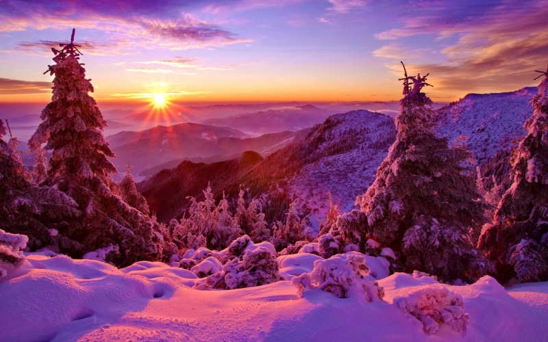 Trees, Forest, Mountains, 1080P, Sky, Sunset, Winter, Snow, Spruce