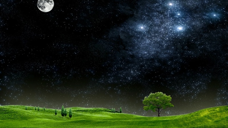 grass field, sky, astronomical object, landscape, atmosphere of earth, 1080P, moonlight, starry night, full moon, grass, night sky, field, universe, atmosphere