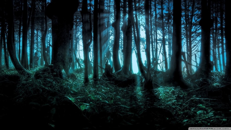 dark, digital art, tree, idyllic, landscape, forest, time, fantasy art, scenics - nature, tranquil scene, beauty in nature, non-urban scene, nature, environment
