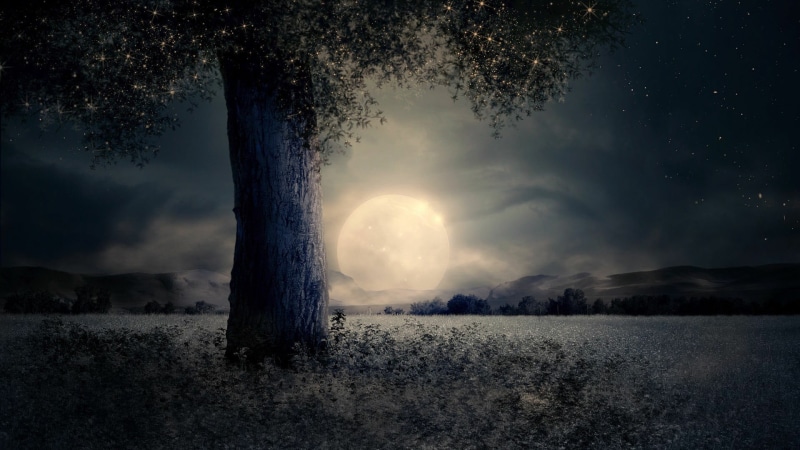 non-urban scene, growth, horizon, starry sky, full moon, no people, cloud - sky, stars, scenics - nature, beauty in nature, 1080P, outdoors, land, nature