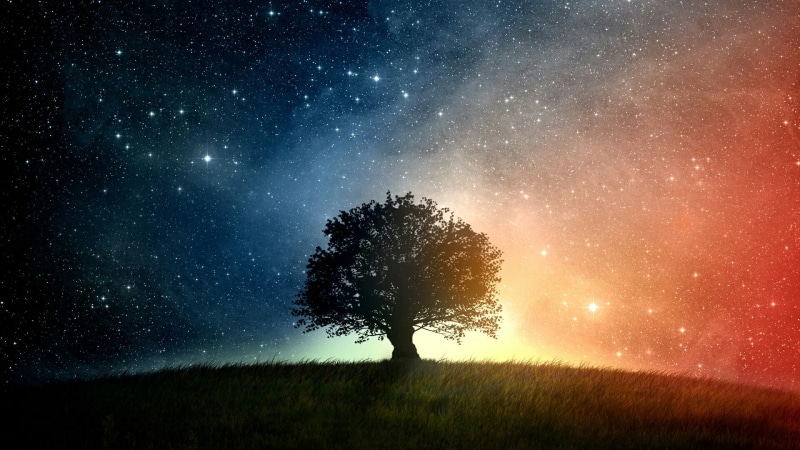 1080P, tree, grass, space, astronomy, field, star, starry night, atmosphere, lonely tree, darkness, starry sky, landscape, lone tree, sky, nature, starry