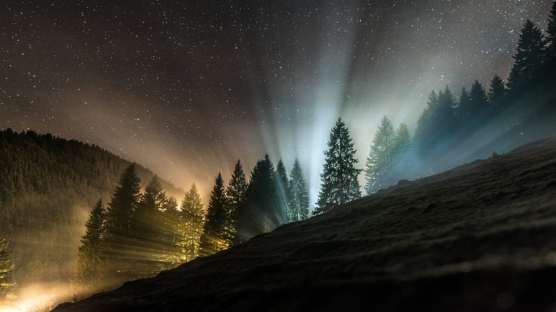 nature, night, star, alps, mountain, switzerland, darkness, tree, stars, glow, sky, starry sky, starry, forest, night sky, landscape, starry night, phenomenon