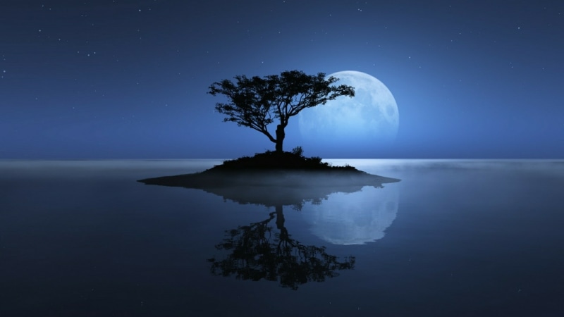 tree, water, lonely tree, full moon, horizon, reflection, moon, island, night sky, nature, sky, 1080P, calm, stars, reflected, lone tree, starry night