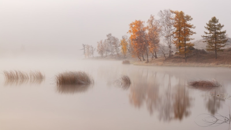 outdoors, no people, mist, tranquil scene, lake, tranquility, landscape, reflection, beauty in nature, sky, morning, hills, plant, autumn, waterfront, change