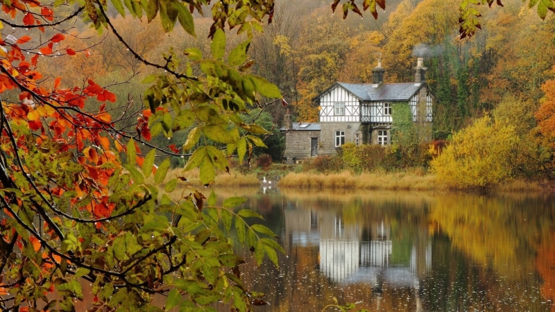 leaf, plant part, waterfront, residential district, day, rural Scene, yellow, color Image, multi Colored, trees, built structure, change, lake, red, orange Color