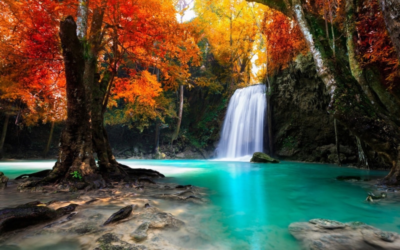 idyllic, non-urban scene, water, motion, river, tropical Rainforest, tropical, tranquil Scene, season, national Park, beauty In Nature, freshness, falling