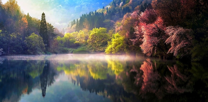tranquil Scene, river, 720P, nature, tree, sunlight, trees, forest, beauty In Nature, reflection lake, hills, outdoors, travel, leafed, environment, fog