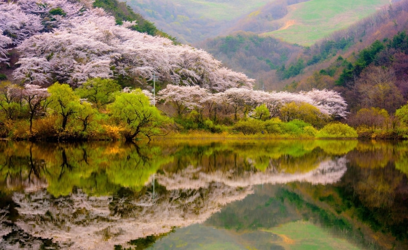 mountain, nature, idyllic, leafed, tranquility, growth, spring, water, scenics - nature, landscape, no people, blossoms, plant, green color, waterfront