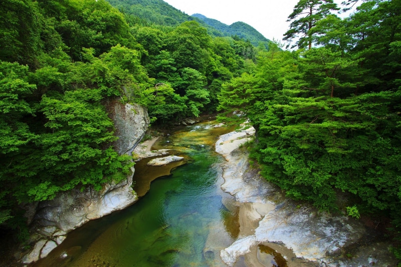 green, scenics - nature, tranquility, flowing, idyllic, plant, land, beauty in nature, 1080P, water, outdoors, green color, growth, river, nature, leafed