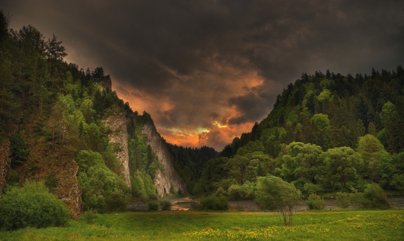tranquility, grass, green, storm, growth, scenics - nature, 1080P, plant, cloud - sky, land, field, green color, cliff, forest, beauty in nature, sky