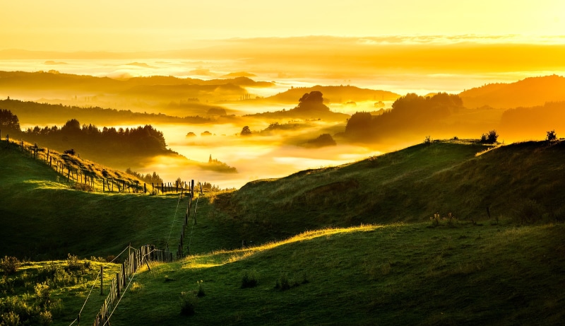 farming, green mountain, Sunrise, dawn, scenics, Golden  green, sunset, landscape, view, green, sunlight, outdoors, shire, hill, hobbiton, lotr, summer