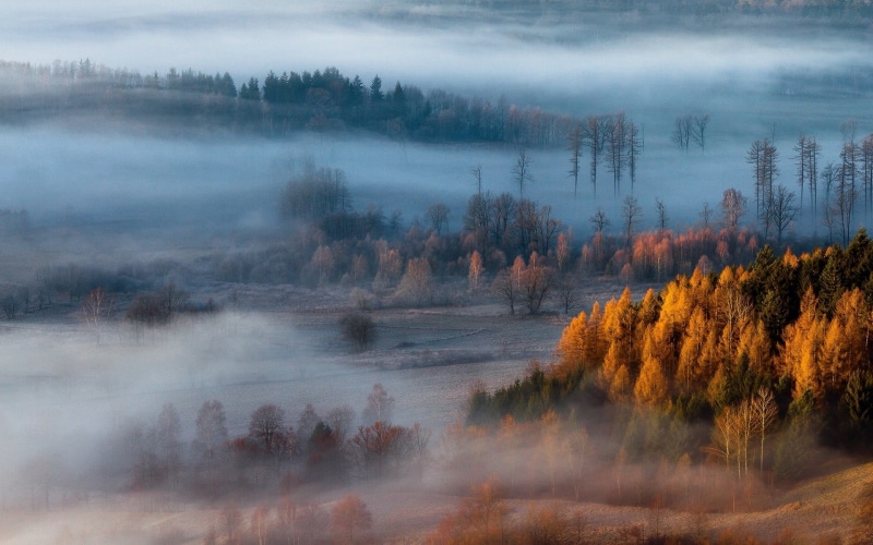 growth, sunlight, 1080P, green Color, dawn, fog, multi Colored, cloud - Sky, colors, photography, season, fall, brown, red, mountain Range, wilderness Area