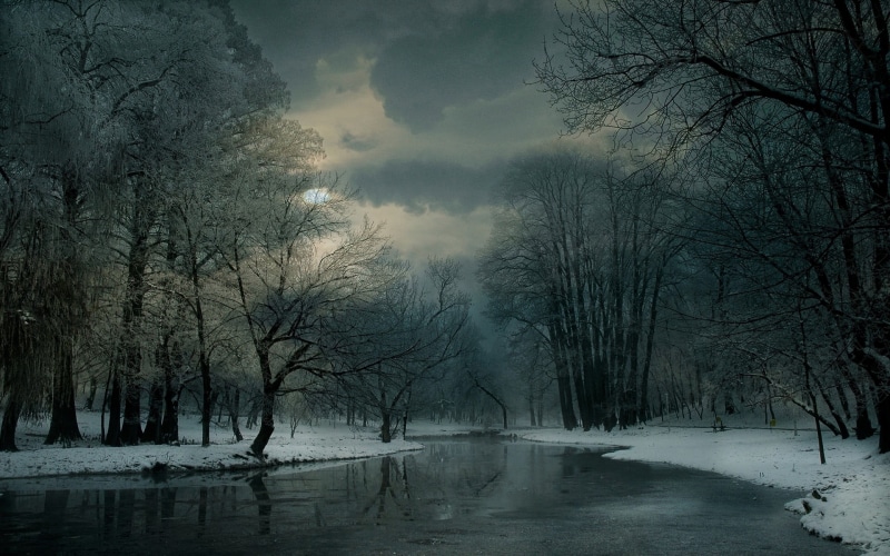 frost, sky, tranquility, forest, woodland, beauty in nature, tranquil scene, ice, body, trees, outdoors, environment, clouds, cold temperature, cold, winter