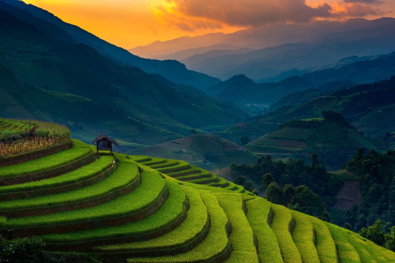 agriculture, rice - Cereal Plant, green Color, landscaped, sa Pa, farm, cultures, valley, landscape, village, field, east Asian Culture, longsheng, crop