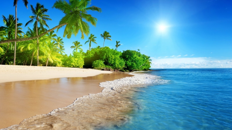 island, sunlight, resort, relaxation, bay, water, shore, beach, nature, sea, caribbean, seascape, sunny, cloud, vacation, sun, tropical, scene, clear, tree