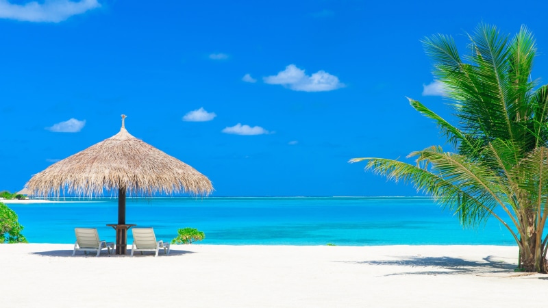 summer, sandy beach, sky, vacation, palm tree, sunbed, 4K, aruba, daytime, antilles, palm, resort, sea, ocean, lagoon, lesser antilles, shore, beach, tourism