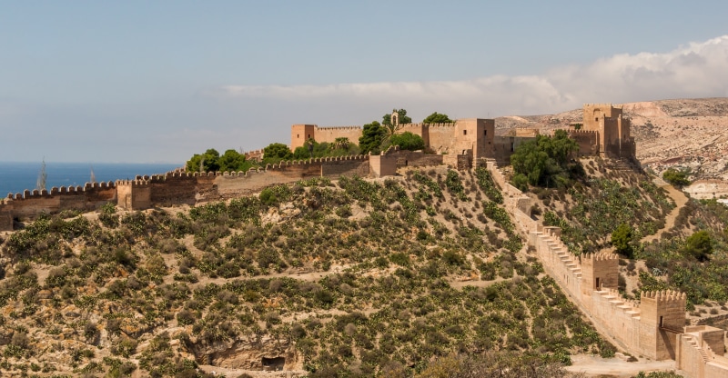 travel, wall, architecture, historic, built structure, alcazaba of almeria, fort, travel destinations, scenics - nature, great, plant, building exterior