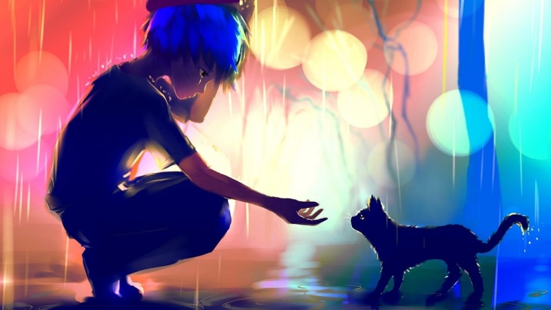 Anime, cat, 1080P, sad, scenic, loneliness, anime boy, raining