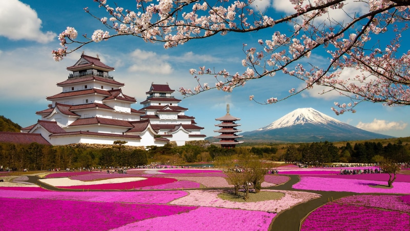plant, spring, mountain, blossom, mount fuji, asia, tree, 4K, landscape, pagoda, fukushima, japan, cherry blossom, sky, castle, aizuwakamatsu castle, sakura
